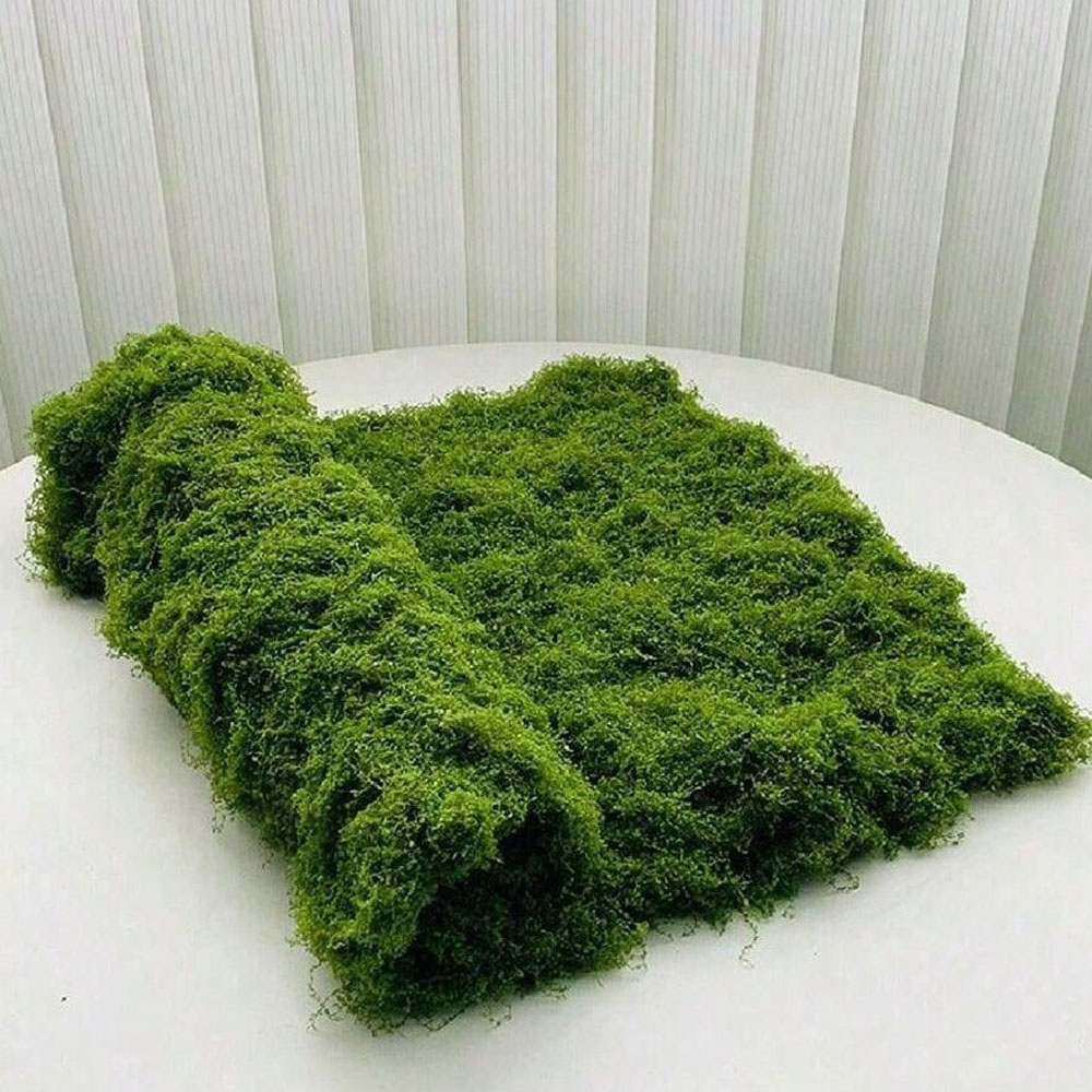 Sphagnum Moss Dry - 1*1m falso musgo diy artesanato grama