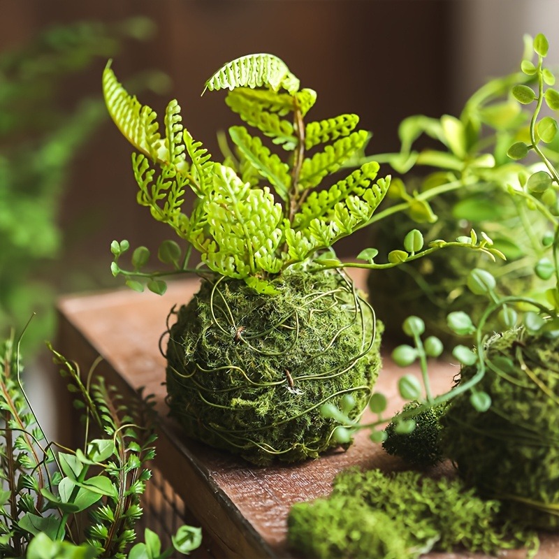 Vaso de Musgo Artificial, Reci - Sphagnum Moss Dry avaliação e preço