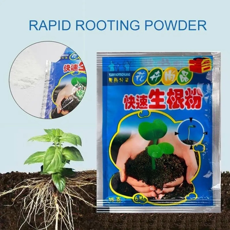 5 pçs pó de enraizamento rápid - Rooting Hormone Powder avaliação e preço