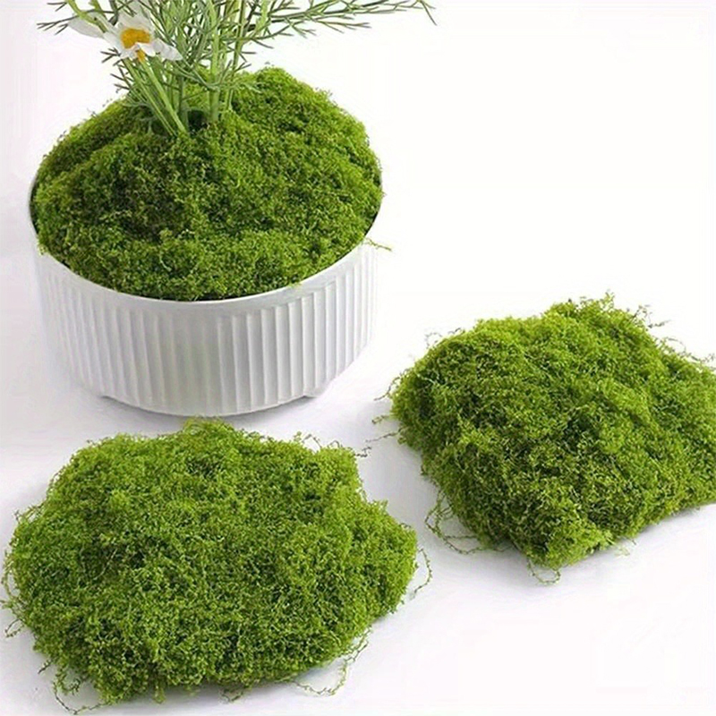 Verde falso musgo diy artesana - Sphagnum Moss Dry avaliação e preço
